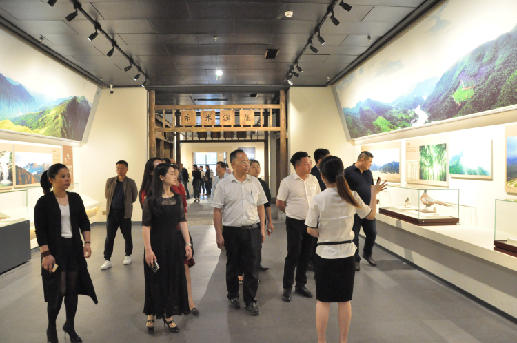8参观芦溪县博物馆.jpg