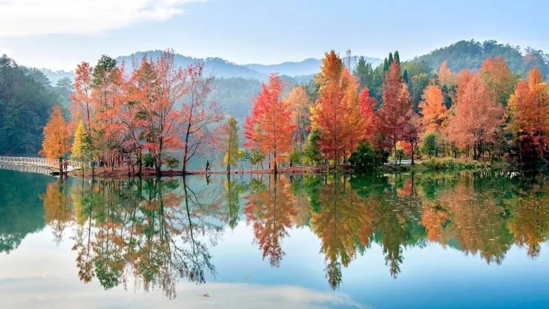 图片1fsdaf.png 图片1fsdaf.png