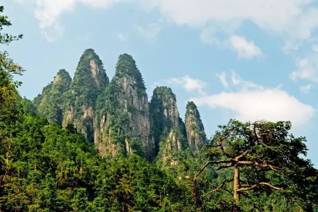 fsadfas.png fsadfas.png